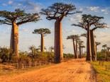 Wycieczka na Madagaskar - Wyspa Lemurów i Baobabów 16 dni 2024